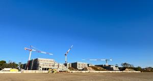 cavallino-bianco-caorle